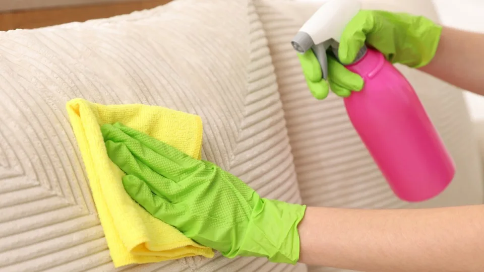 Turite namuose katę ar šunį? Štai kaip nesudėtingai pašalinti visus plaukus nuo sofos ar kitų baldų