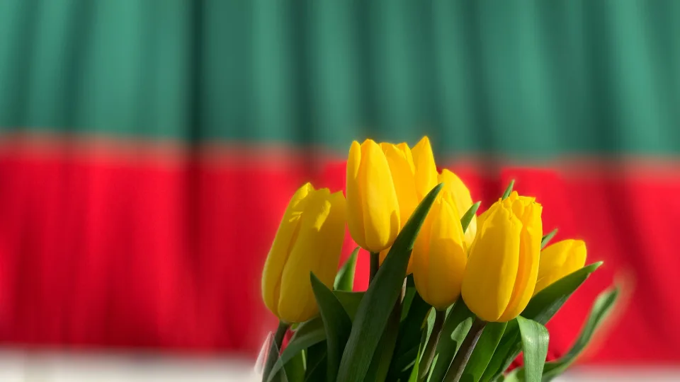 Lietuvos sporto reforma su klaustukais: kodėl valstybės auditoriai muša pavojaus varpais?