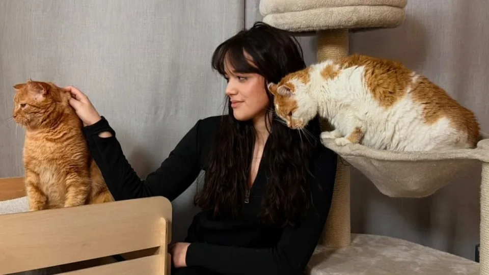 Nuo šunų mylėtojos iki kačių globėjos: savo atsidavimu gelbsti benamius gyvūnus ir įkvepia kitus