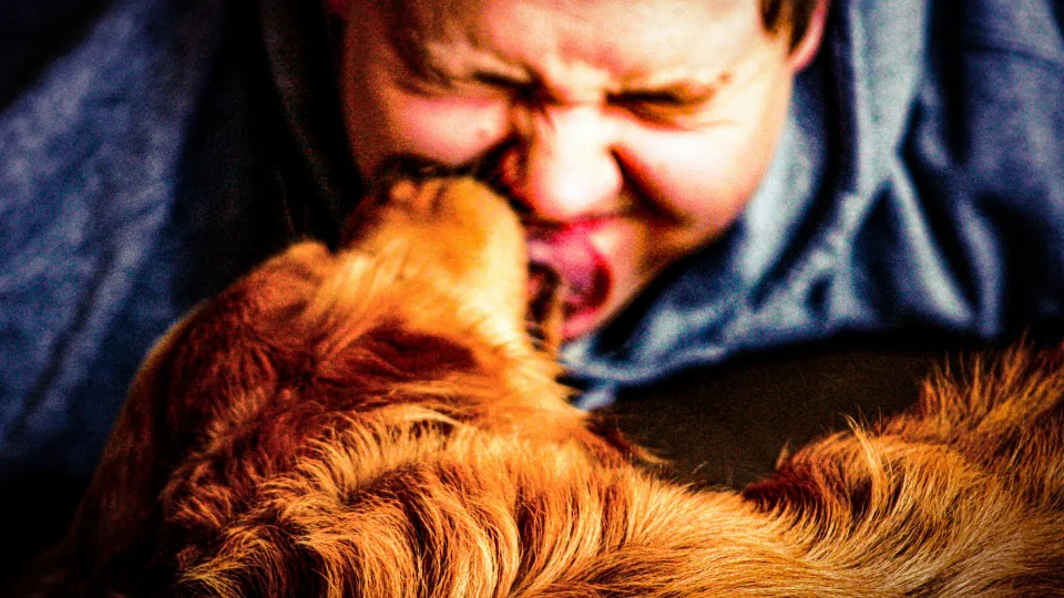 Kodėl šuo jus nuolat laižo? Veterinarai įspėja kiekvieną, tikroji priežastis nustebins daugelį