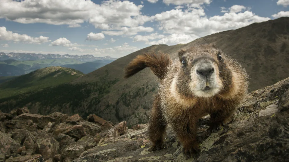 Garsiausias pasaulio sinoptikas jau paskelbė, kiek dar truks žiema