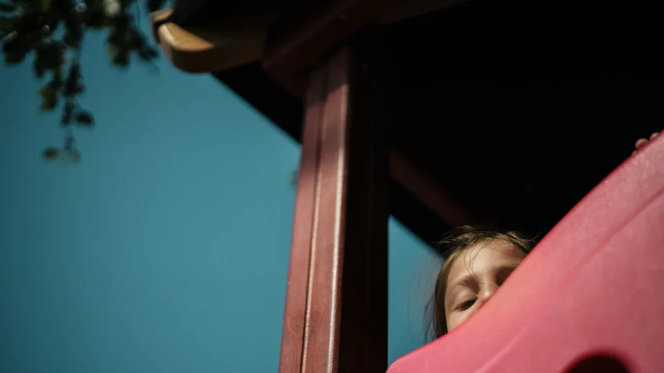 Ar nusikaltėliai galės toliau slėptis už formuluočių? Vyriausybė nepritarė griežtesnėms pataisoms