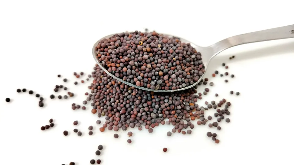 Pasėkite dabar ir po mėnesio neatpažinsite savo dirvos: natūrali trąša, kuri keičia viską