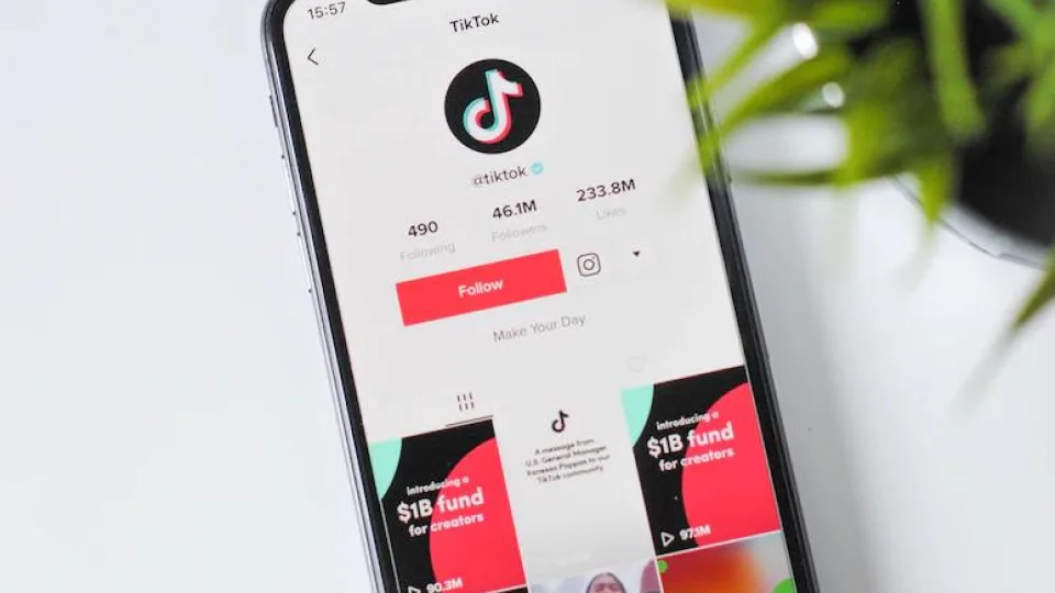 „TikTok“ siekia išvengti draudimo JAV: programėlės valdymą perima amerikiečiai, kas keisis?