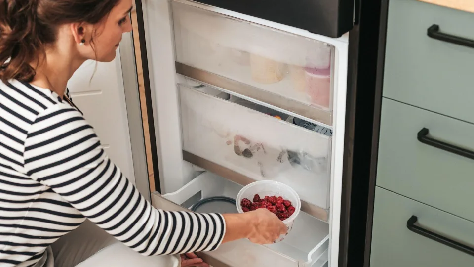 Paruoškite šaldiklį rudeniui: specialistų patarimai, kad žiemą lėkštėje netrūktų šviežumo