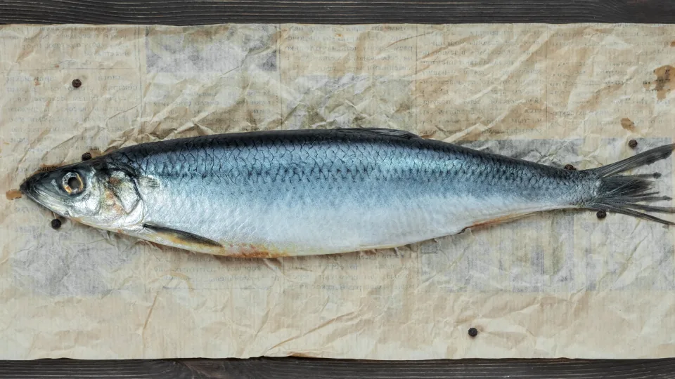 Nustebink visus per šventes: modernūs silkės receptai, kuriuos valgys net skeptikai