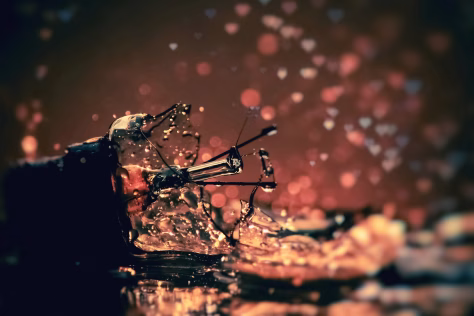 Gedimai namuose tyko tada, kai mažiausiai tikitės: ekspertai įspėja, kas gali virsti brangiais nuostoliais