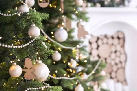 Šių faktų apie kalėdinę eglutę dar nebūsite girdėję, ką iš tikrųjų reiškia ši šventinė tradicija?