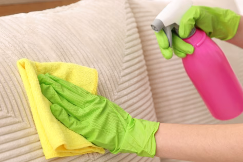 Turite namuose katę ar šunį? Štai kaip nesudėtingai pašalinti visus plaukus nuo sofos ar kitų baldų