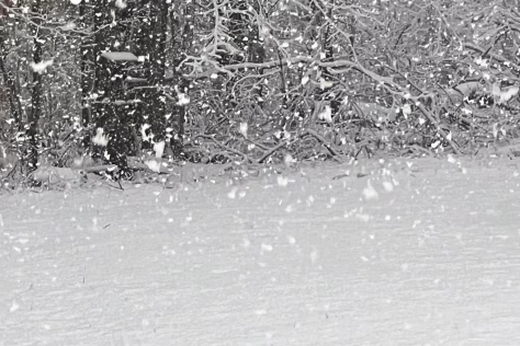 Šaltis traukėsi, bet ketvirtadienį Lietuvą pasieks tai, kas gali pakeisti visų planus per vieną naktį