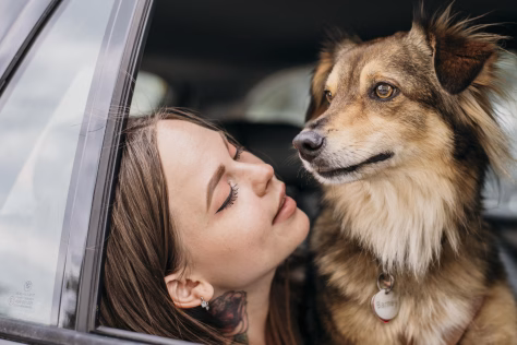 Žymūs šalies influenceriai pasidalino, kaip lepina savo augintinius, atskleidė ir vieną paslaptį