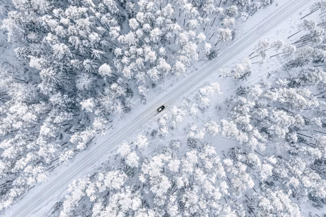 Tokių orų nebuvo jau seniai: sinoptikai pateikė netikėtą pavasario prognozę, kas čia vyksta?