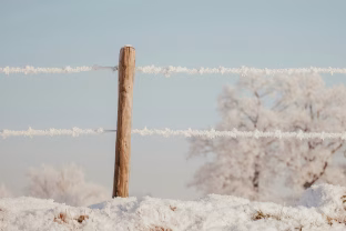 Ar pagaliau šils? Naujausia sinoptikų prognozė siunčia dviprasmišką signalą