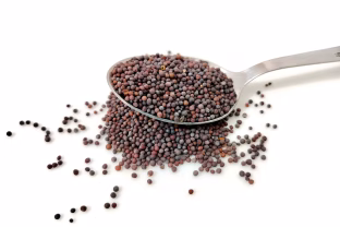 Pasėkite dabar ir po mėnesio neatpažinsite savo dirvos: natūrali trąša, kuri keičia viską