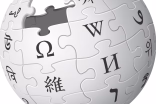 „Wikipedia“ susiduria su netinkama dirbtinio intelekto panaudojimo problema: paskelbta speciali iniciatyva, kurios metu bus šalinama klaidinanti DI sugeneruota informacija