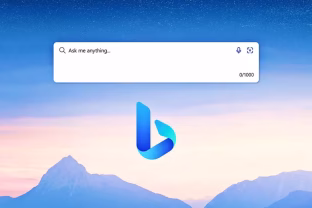 „Google“ ir „Reddit“ susitarimas turi didžiulės įtakos kitoms paieškos sistemoms: „Microsoft Bing“ bei kiti neteko prieigos prie daugelio pamėgtos platformos turinio