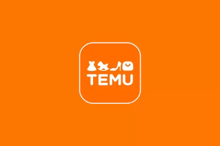 Internetinė prekyvietė „Temu“ žengia į elitinį ratą: prisijungė prie pasaulinės kovos su klastotėmis lyderių