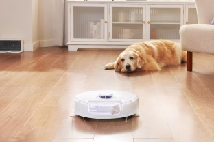 Fantastiškas pasiūlymas ieškantiems naujo roboto dulkių siurblio: itin galingas ir funkcionalus modelis dabar kainuoja vos 219 eurų, sužinokite, kaip įsigyti