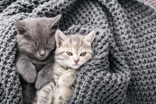 Mokslinis tyrimas atskleidė netikėtą pavojų vaikams, apie kurį daugelis nesusimąsto